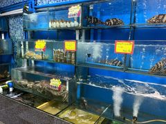 -蚝专家(北滘店)