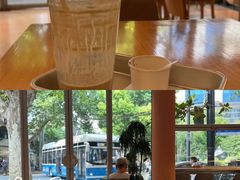-WHEN PIGS FLY当猪飞