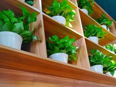 -悦动体能篮球羽毛球网球(三里河店)