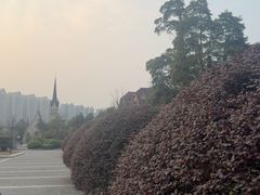 -成都南湖公园