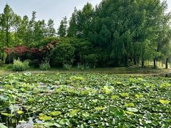 -长广溪湿地公园