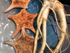 -千岛蚝高压锅生蚝·人参火锅(白云万达店)