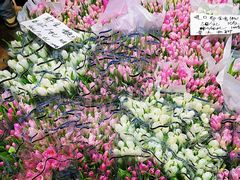 -循礼门鲜花花市(武汉循礼门店)