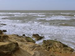 -林海公园