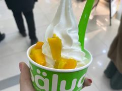 -Salud撒露欧洲冻酸奶(五道口购物中心店)