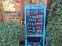 -猫的天空之城概念书店(丽江古城饮玉巷店)