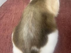 -佳雯宠物医院(金华南路分院)