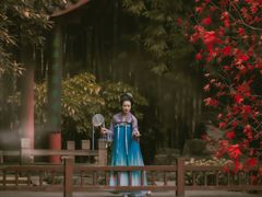 -望江楼公园