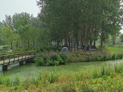 -东郊湿地公园