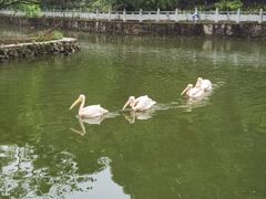 -黔灵山公园