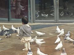 -中粮·祥云小镇