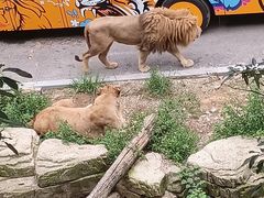 -大连森林动物园