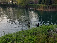 -长白岛森林公园