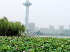-聚龙湖公园