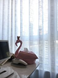 -归真美学颜究中心