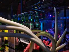 -808 LiveHouse