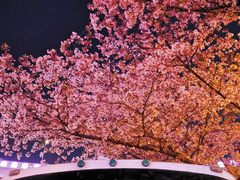-南浦大桥长途旅游客运站