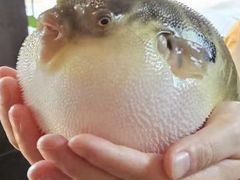 -永安鱼庄·镇江菜(东吴路店)