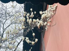 -钱王祠