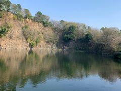 -王借岗森林公园