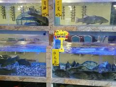 -桃源尚品海鲜酒楼(京港澳高速店)