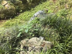 -杭州花家山庄
