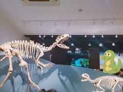 -自贡恐龙博物馆