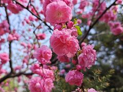 -南长河公园