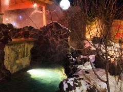 -汉拿山温泉度假酒店