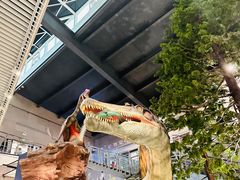 -湖南省地质博物馆