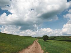 -魏家凉皮(来广营店)