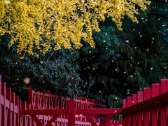 -桂林两江四湖景区