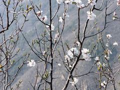 -北京十三陵国家森林公园蟒山景区