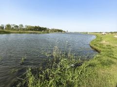 -春花秋色城市公园