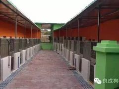 -良成狗狗乐园