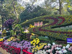-杭州植物园