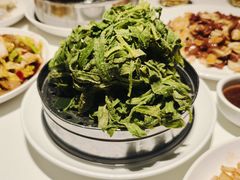 -金春禧(世茂国际广场店)