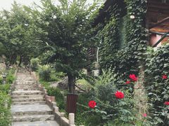 -北京水岸山吧度假村(雁栖镇店)
