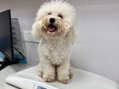 -博特宠物医院24h犬猫全科.骨科·异宠
