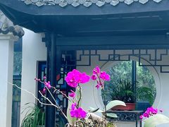-东莞植物园