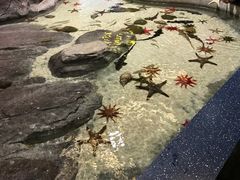 -福州罗源湾海洋世界旅游区