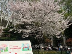 -堤角公园