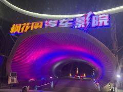 -枫花园汽车电影院(朝阳公园店)