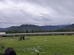-松赞干布出生地