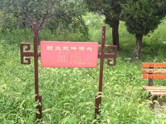 iphone_upload_pic-三义宫