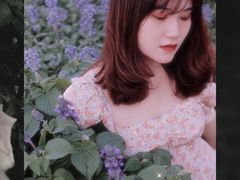 -野狸岛