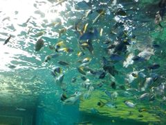 -常州海昌海洋探索馆