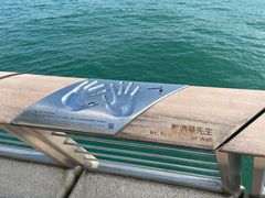 -星光大道