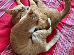 -新荟城(望京店)