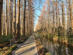 -上海怡沁园度假酒店